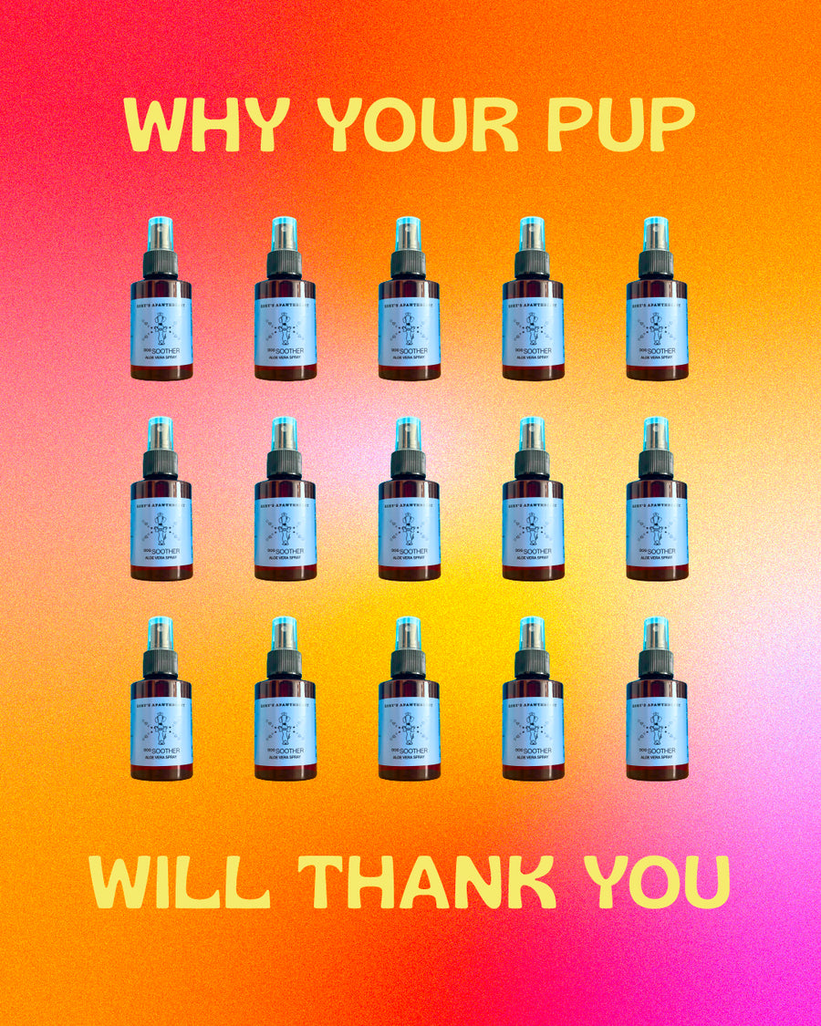 REJUVENATION BUNDLE  (for sensitive pups)