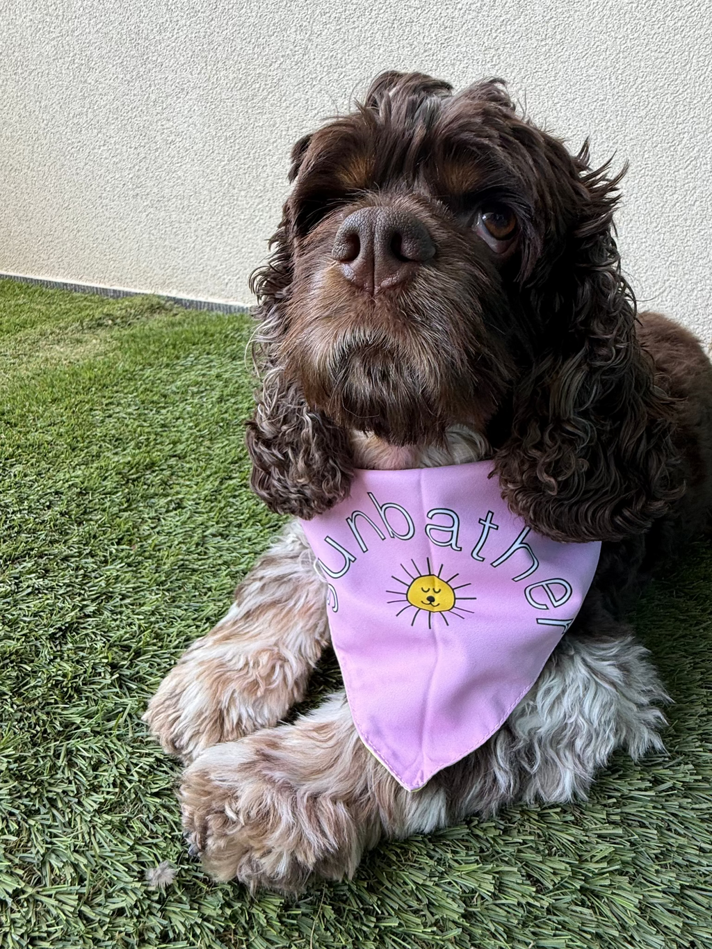 Dog walking matching bandana for human and dog merch. Reversible bandanas! 2 in 1! Match your pup! Go for a walk! Based in UAE