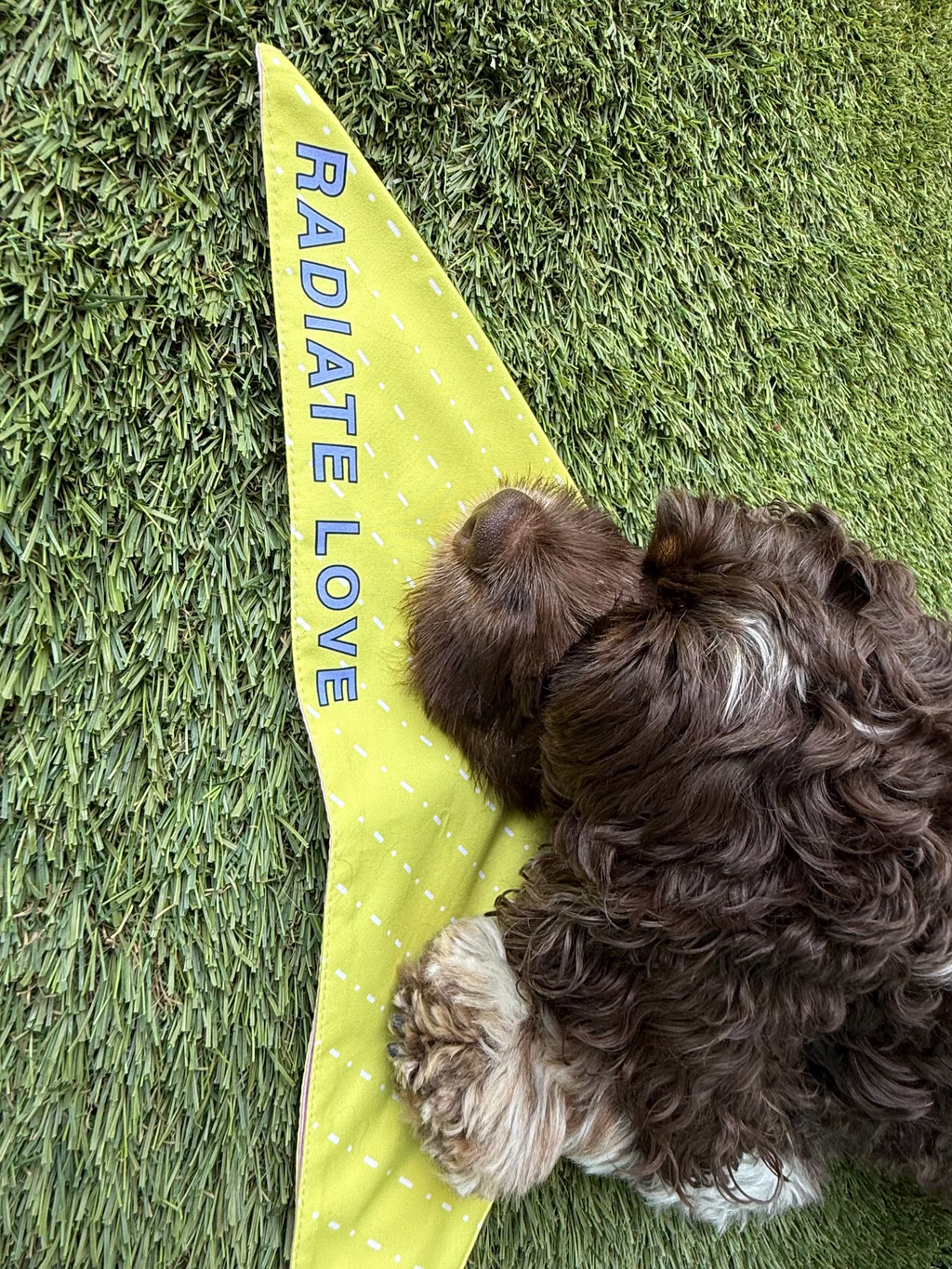 Dog walking matching bandana for human and dog merch. Reversible bandanas! 2 in 1! Match your pup! Go for a walk! Based in UAE