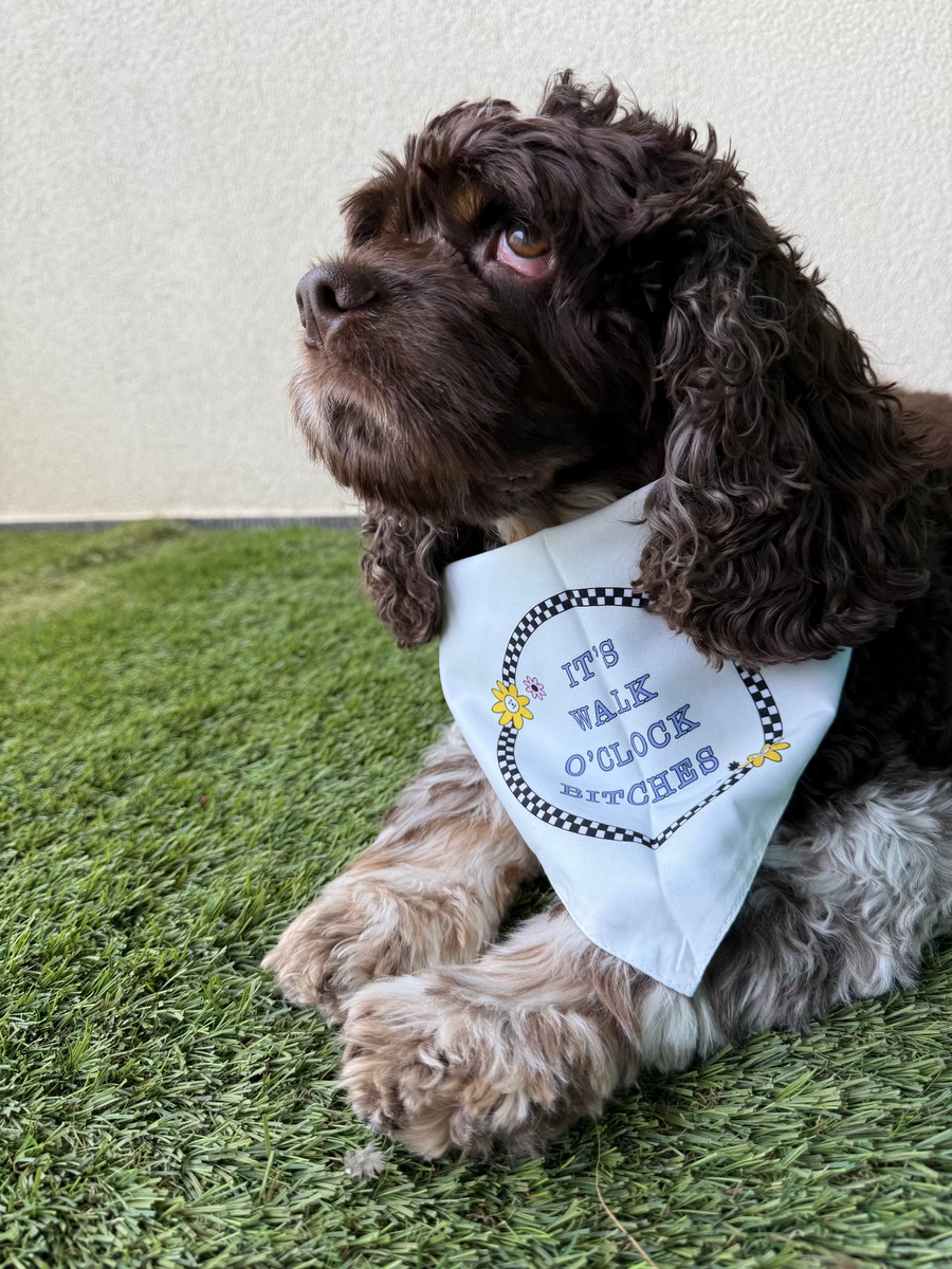 Dog walking matching bandana for human and dog merch. Match your pup! Go for a walk!