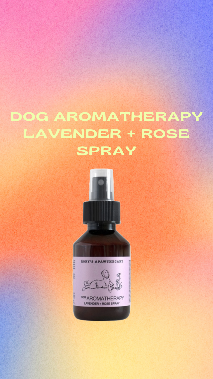 Natural dog aromatherapy spray with lavender, rose, and vitamin E in a recyclable bottle – non-toxic calming mist for dogs’ skin and coat