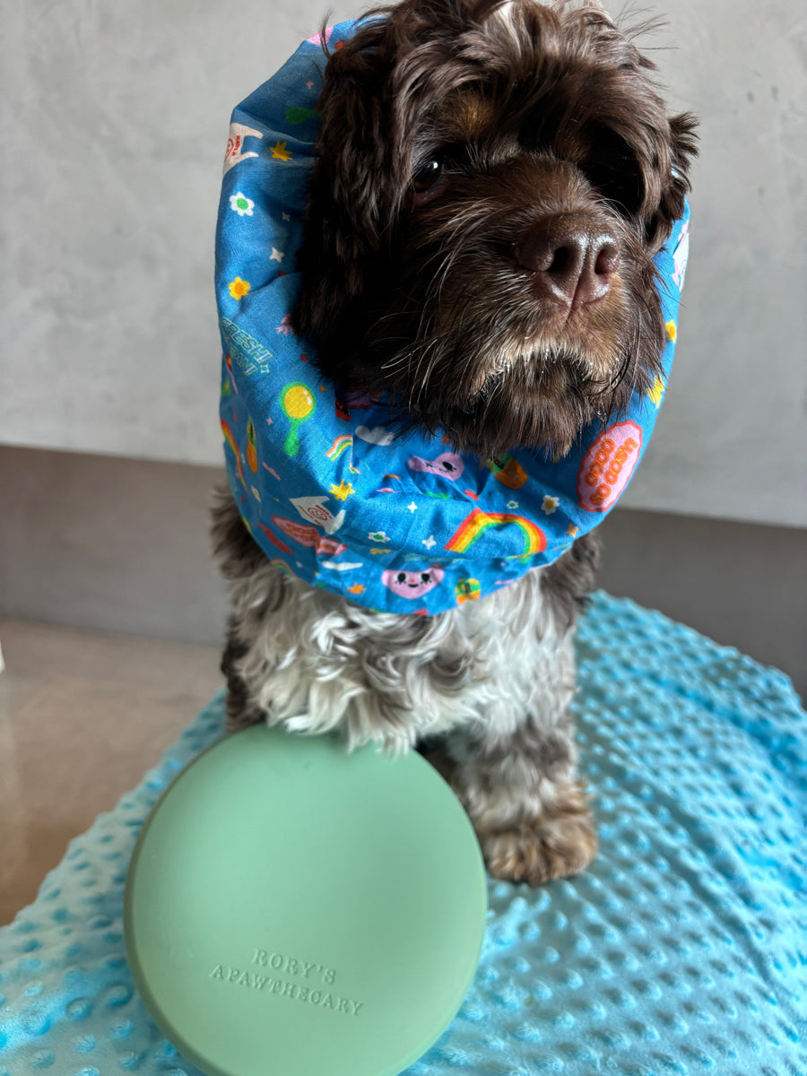 Stylish and functional dog snood from Rory’s Apawthecary, gentle on ears and designed for comfort. Easy-to-wear snood for mess-free mealtimes and cute everyday looks. Perfect for café outings or travel to protect ears and keep face clean during meals. UAE based.
