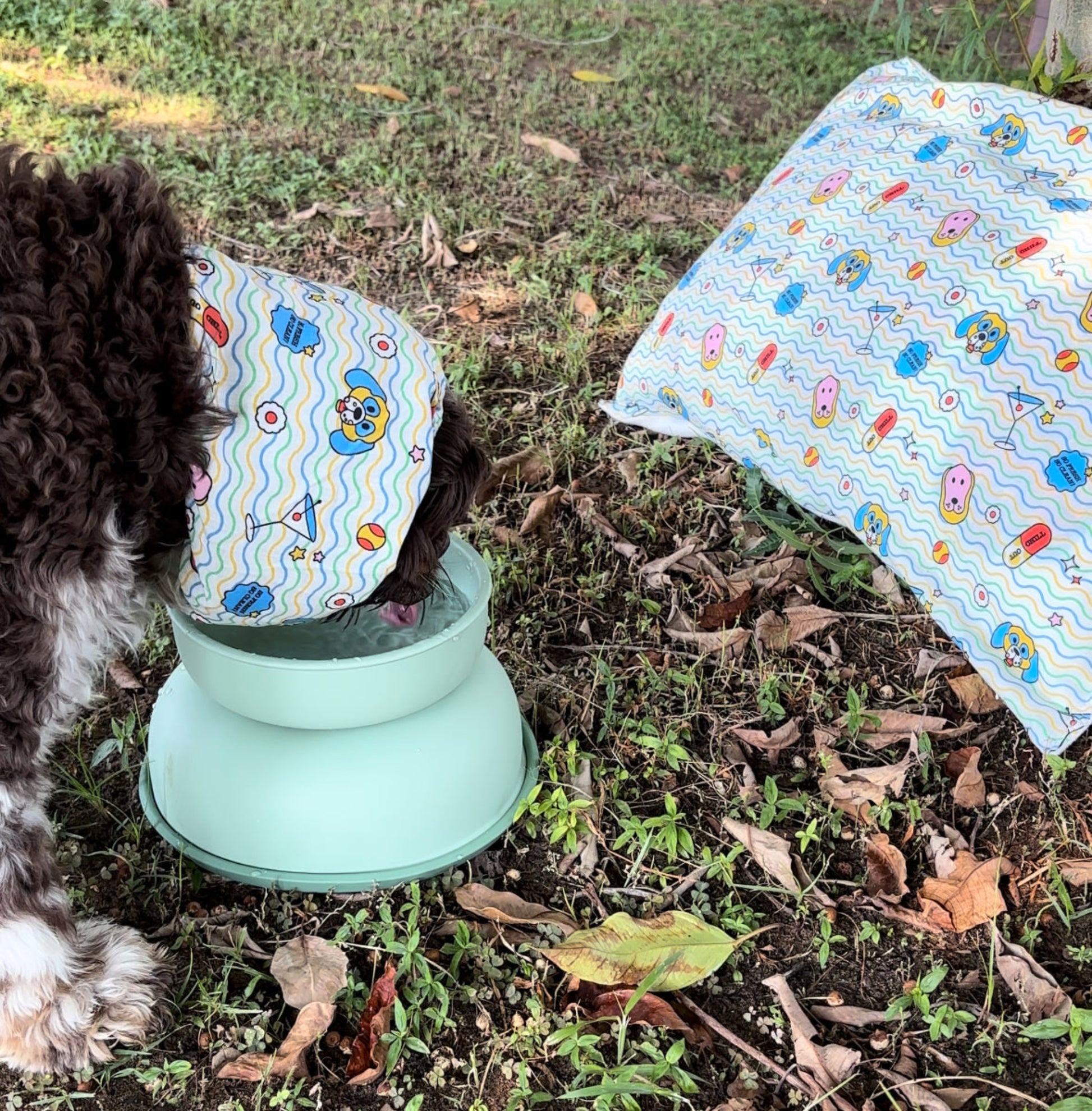 Stylish and functional dog snood from Rory’s Apawthecary, gentle on ears and designed for comfort. Easy-to-wear snood for mess-free mealtimes and cute everyday looks. Perfect for café outings or travel to protect ears and keep face clean during meals. UAE based.
