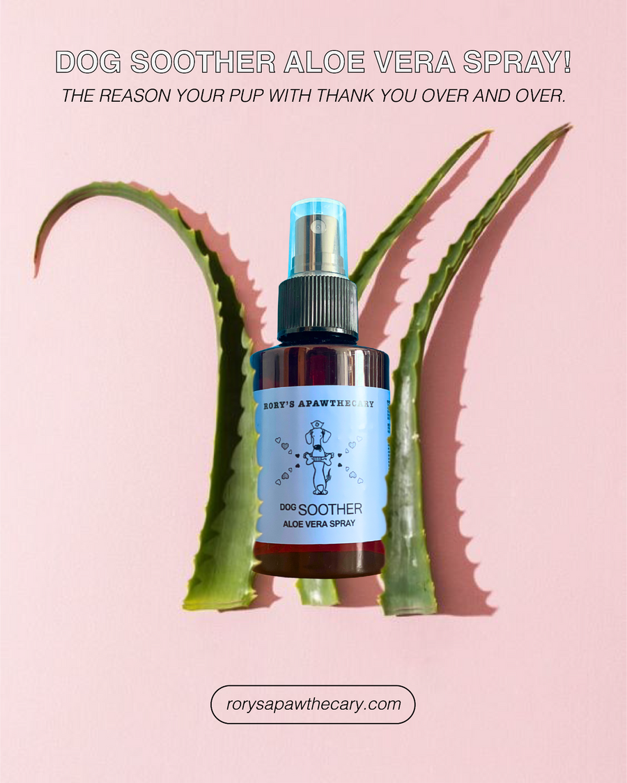 Dog soothing aloe vera spray for sensitive skin for every dog’s first aid kit. Non toxic, plant based, organic, all natural. Based in UAE.
