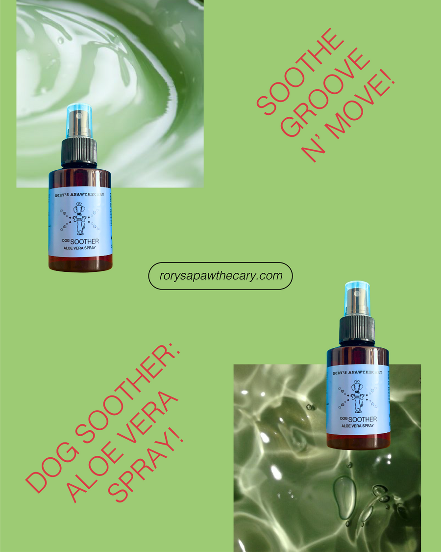 Dog soothing aloe vera spray for sensitive skin for every dog’s first aid kit. Non toxic, plant based, organic, all natural. Based in UAE.