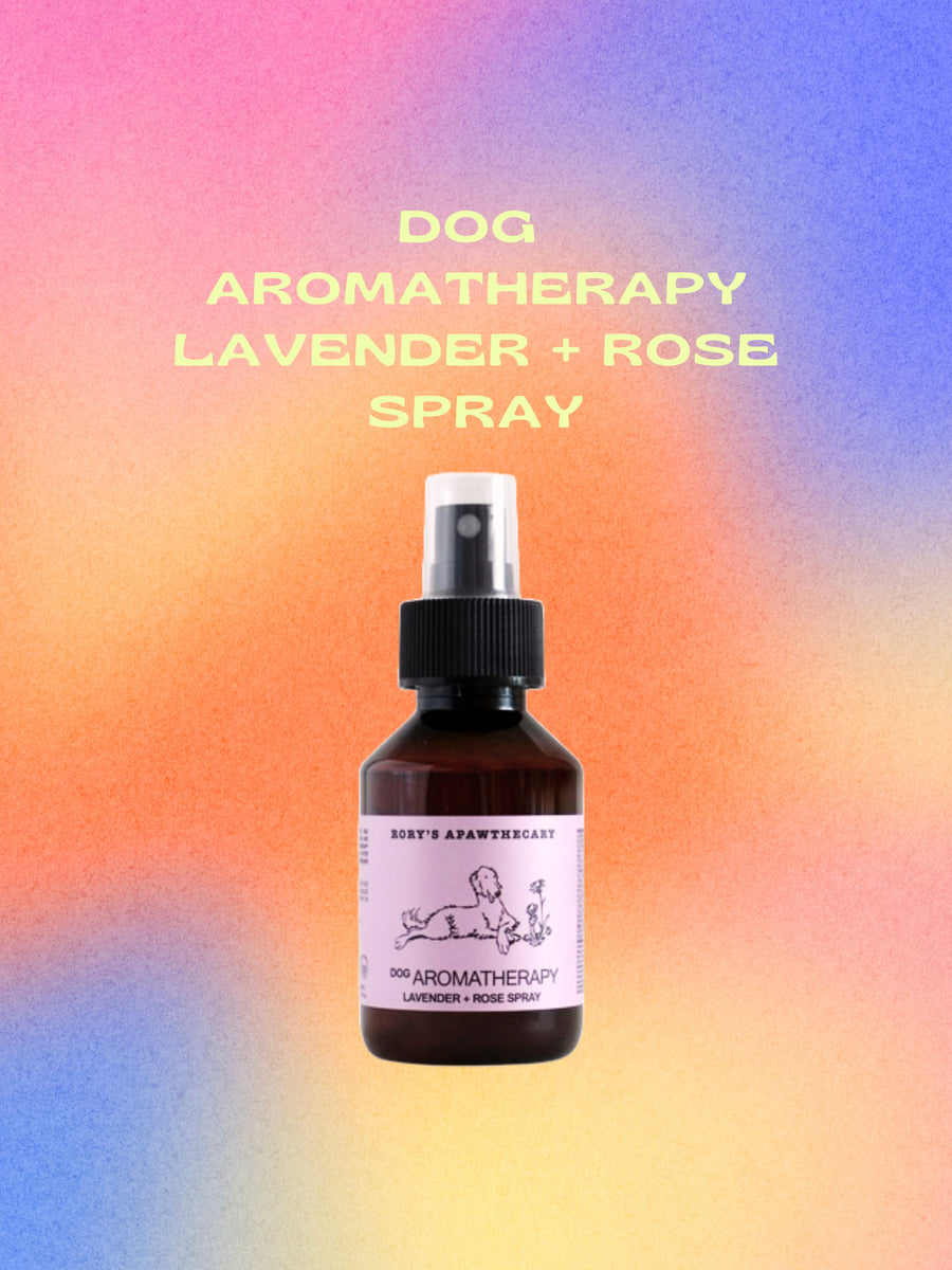 DOG AROMATHERAPY: LAVENDER + ROSE SPRAY
