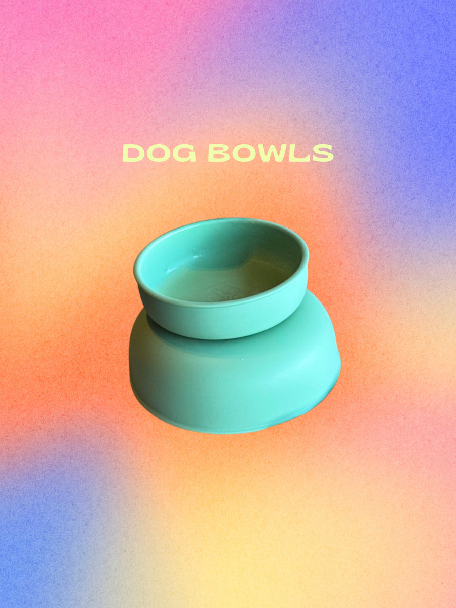DOG BOWLS