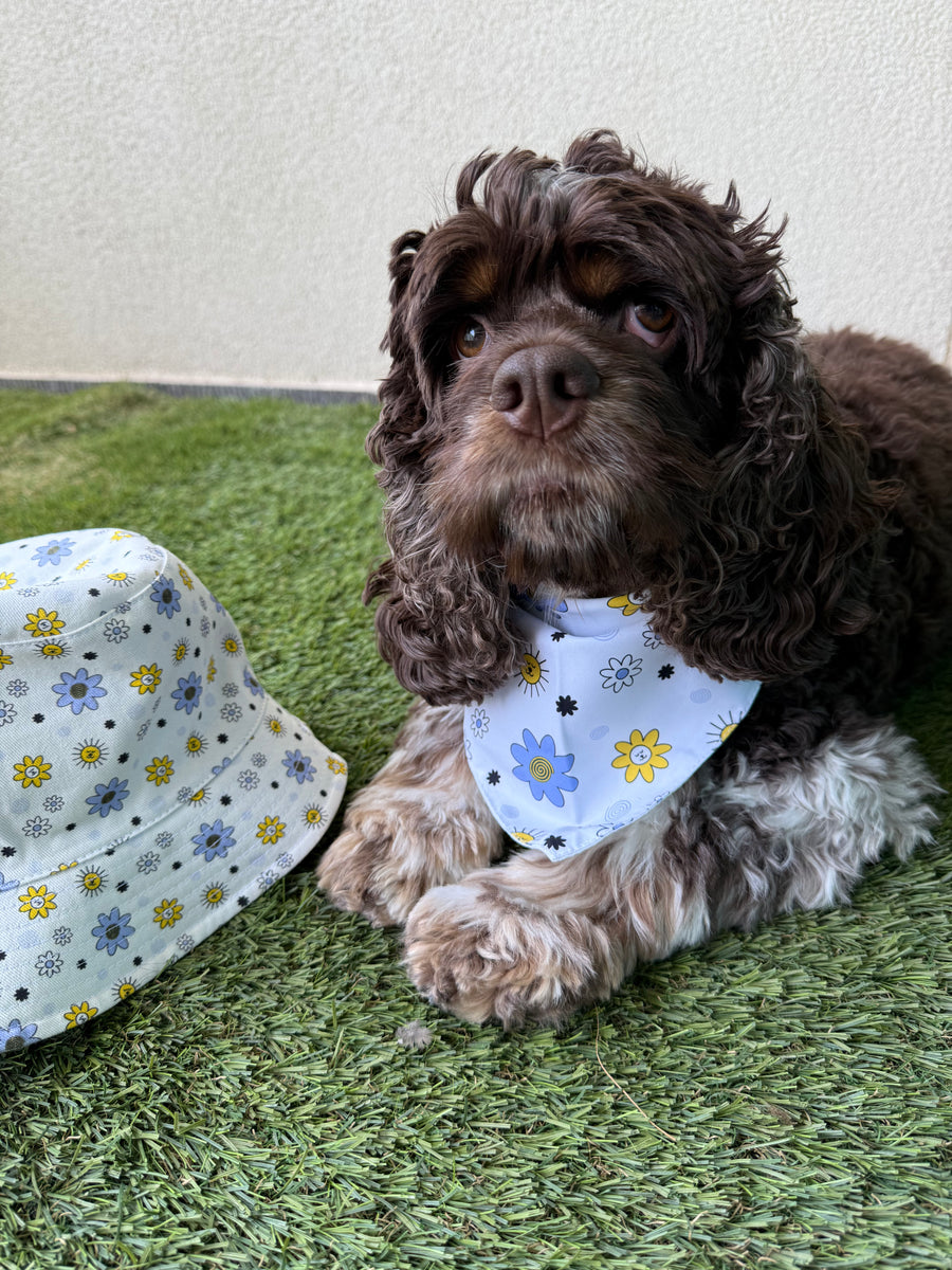 DOG WALKING HAT for you (& matching bandana for your pup)