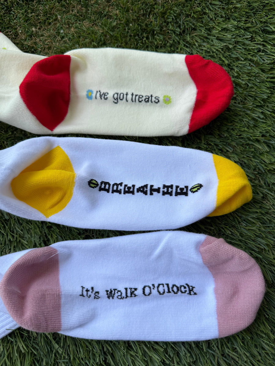 DOG WALKING SOCKS (SET OF 3)