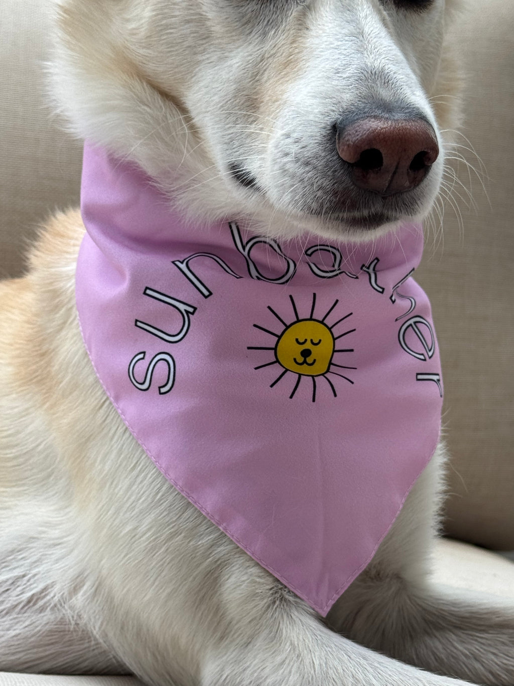 DOG WALKING HAT for you (& matching bandana for your pup)