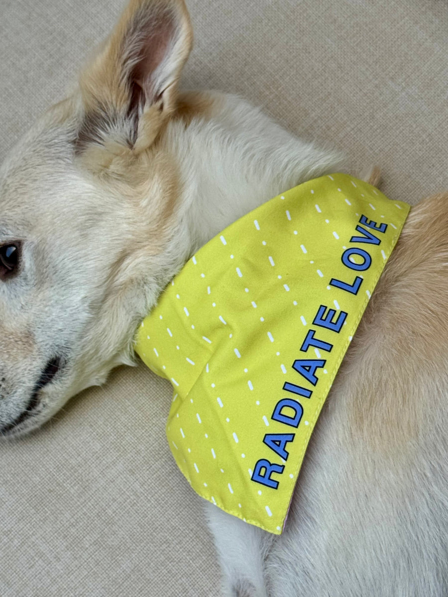 SUNBATHER BANDANA (Reversible)