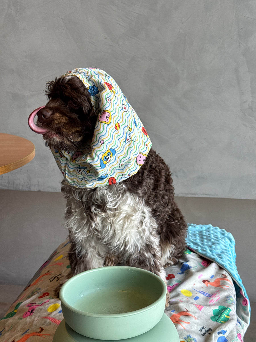 DOG BOWLS