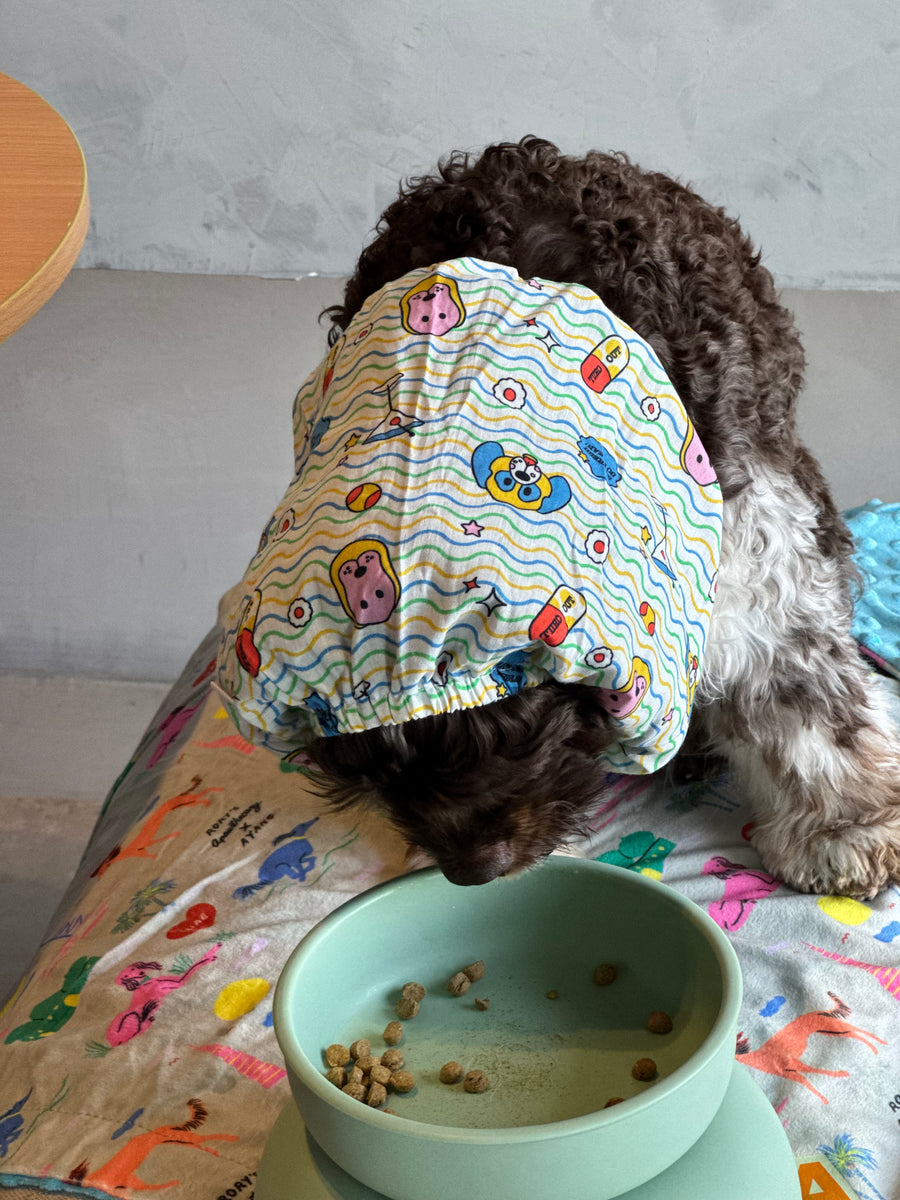 ELEVATED DOG BOWL