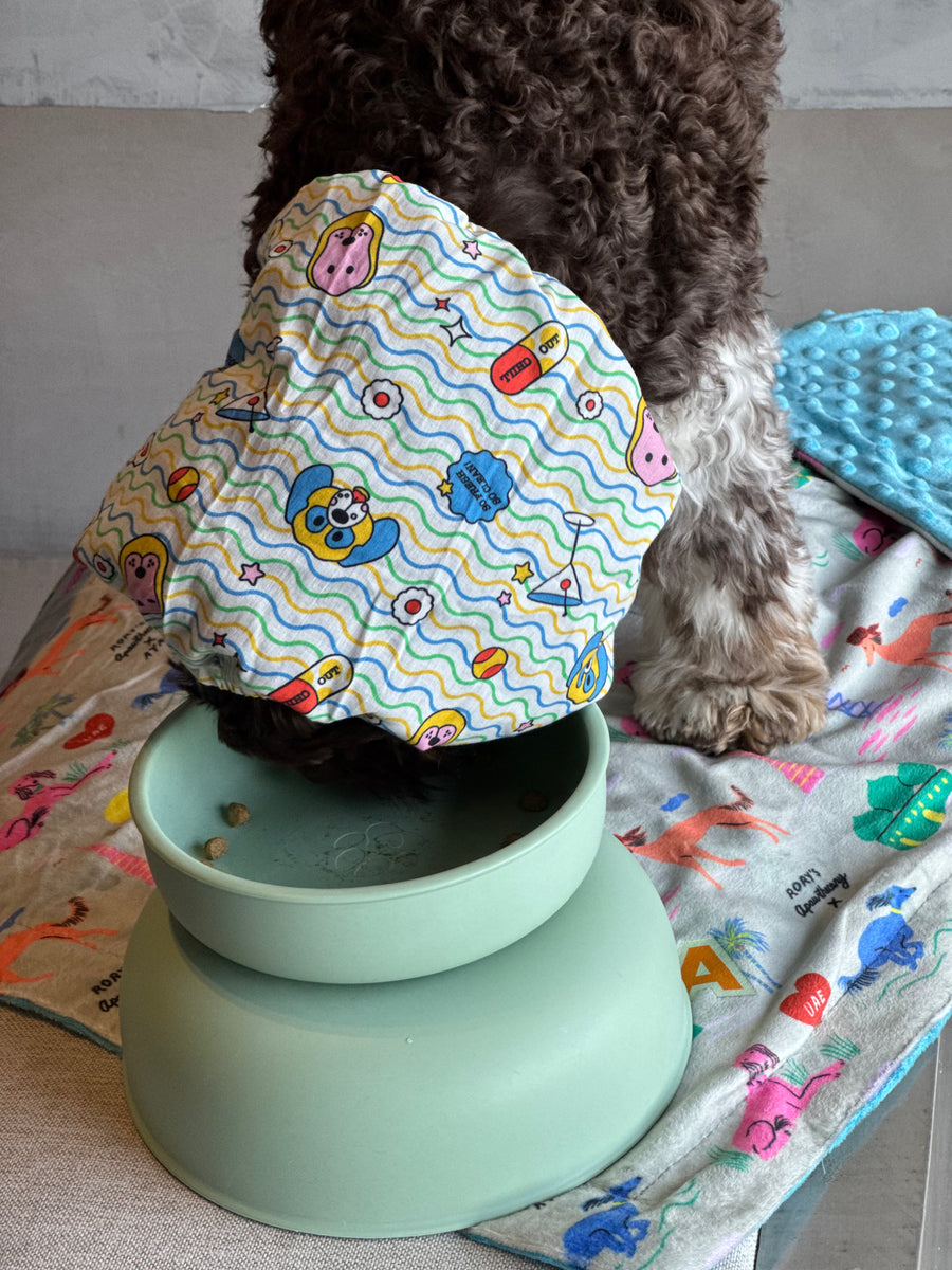 DOG BOWLS