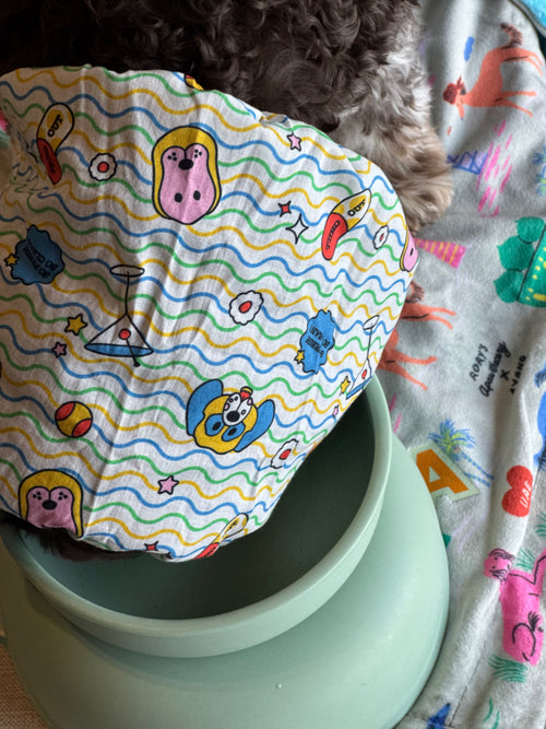 DOG BOWLS