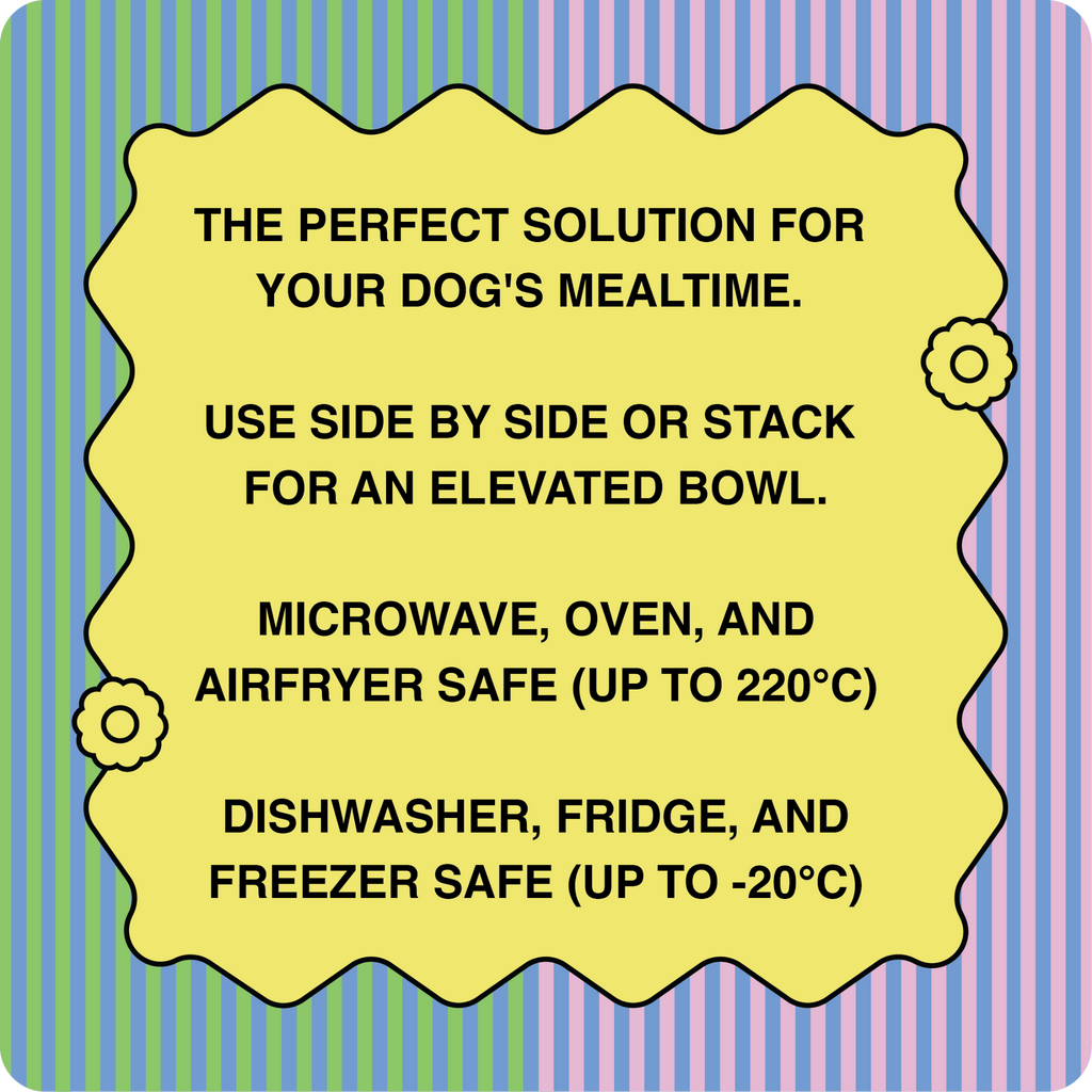 Elevate, stash, pack your 2 in 1 dog bowls made from food grade silicone for mess free dog dining.