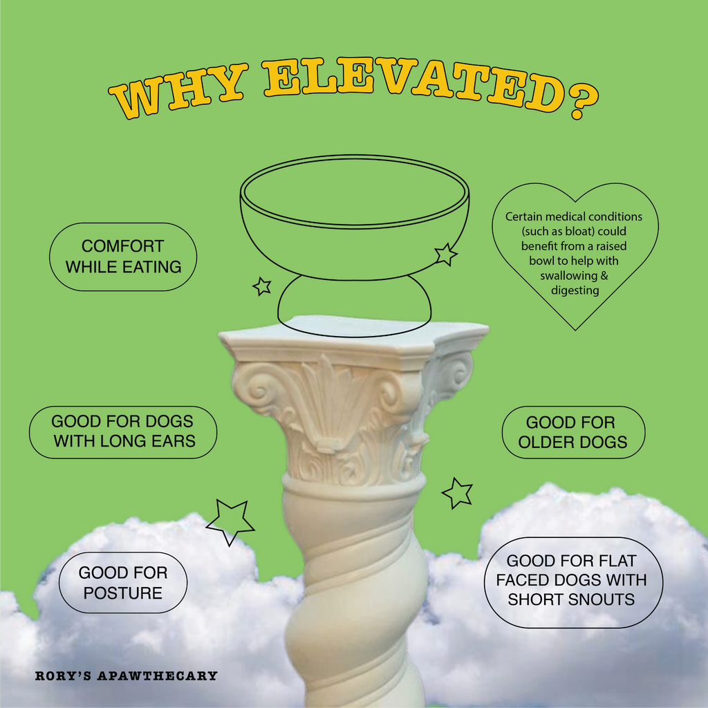 Elevate, stash, pack your 2 in 1 dog bowls made from food grade silicone for mess free dog dining. Elevate for older dogs or medical conditions to ease swallowing and reduce neck strain. Great for IVDD and senior pets. Or those with long ears. Based in UAE