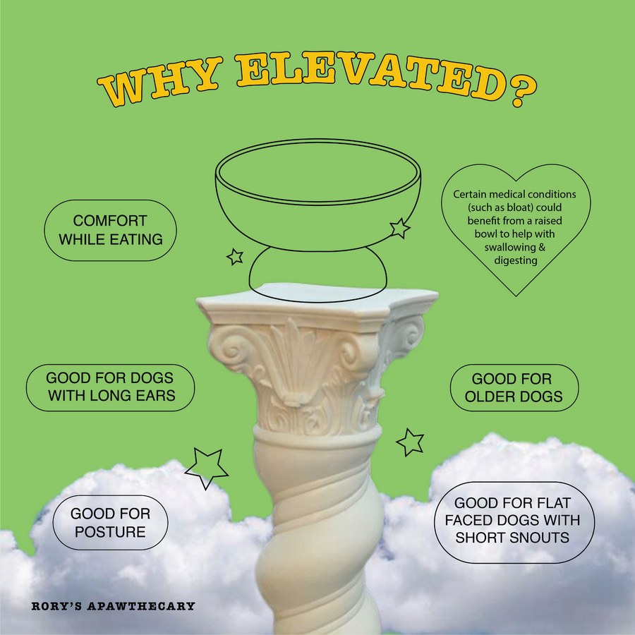 Elevate, stash, pack your 2 in 1 dog bowls made from food grade silicone for mess free dog dining. Elevate for older dogs or medical conditions to ease swallowing and reduce neck strain. Great for IVDD and senior pets. Or those with long ears. Based in UAE