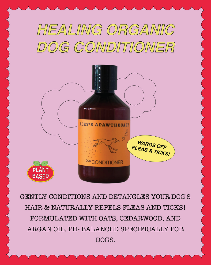 REJUVENATION BUNDLE  (for sensitive pups)