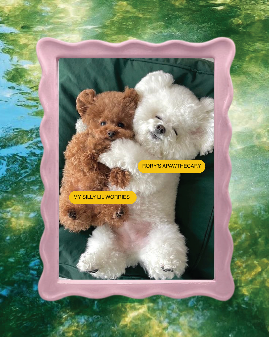 REJUVENATION BUNDLE  (for sensitive pups)