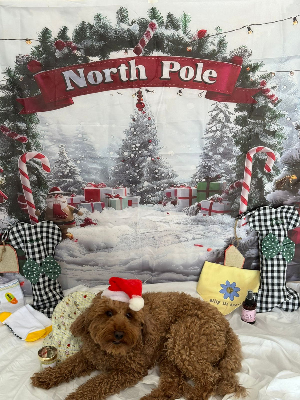 PERSONALISED XMAS DOG STOCKING