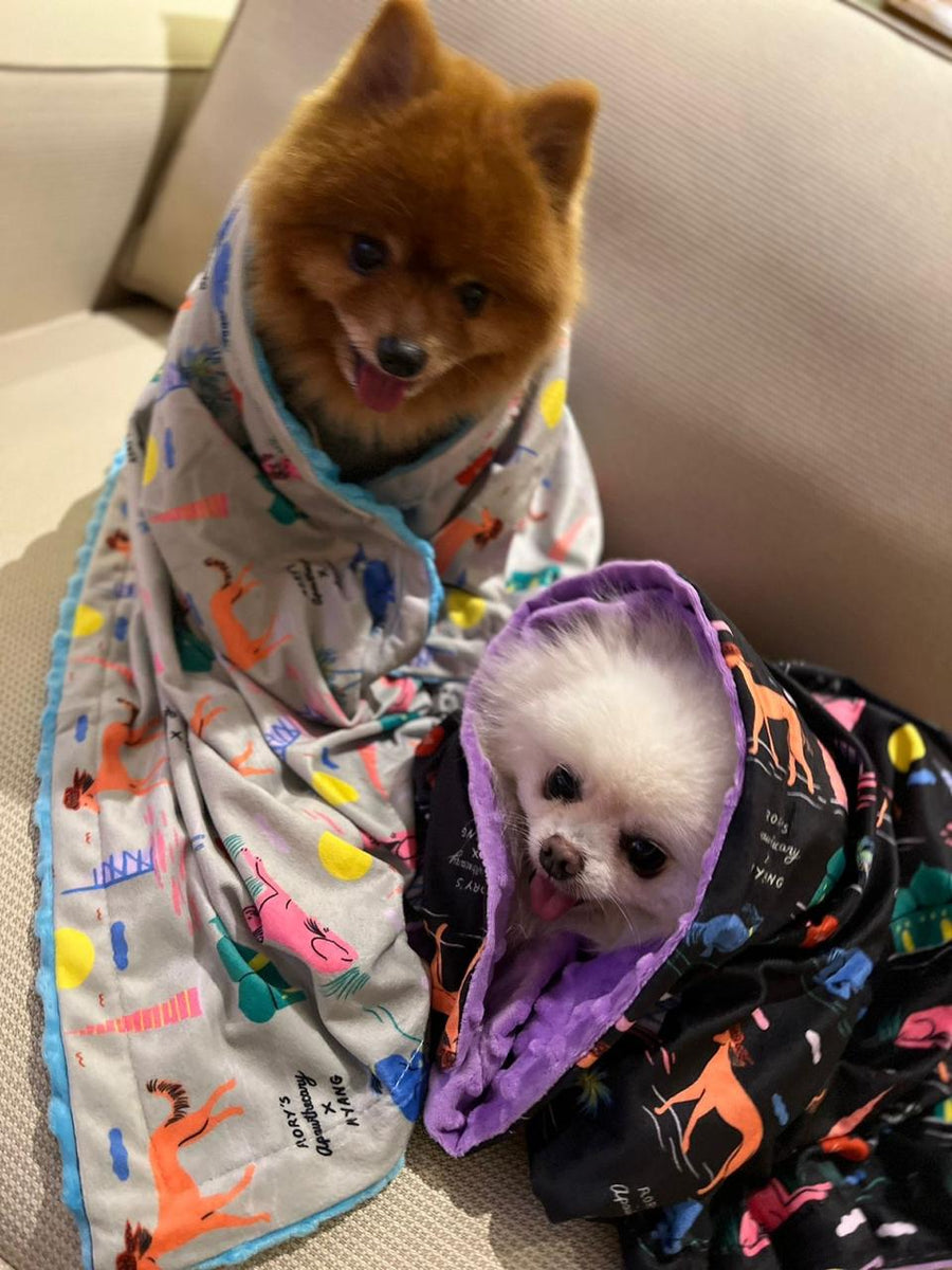 DOG BLANKET