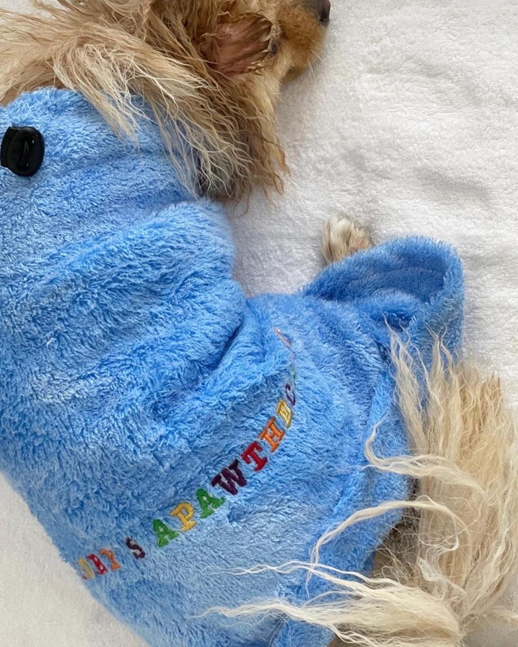 DOG TOWEL