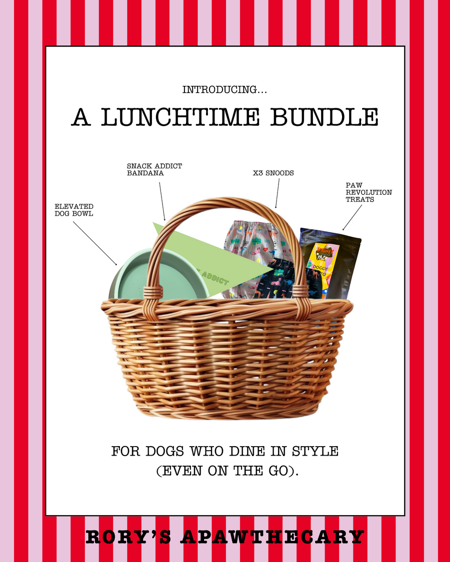 Lunchtime dog bundle with bowls, snoods, bandana, and treats from Rory's Apawthecary UAE