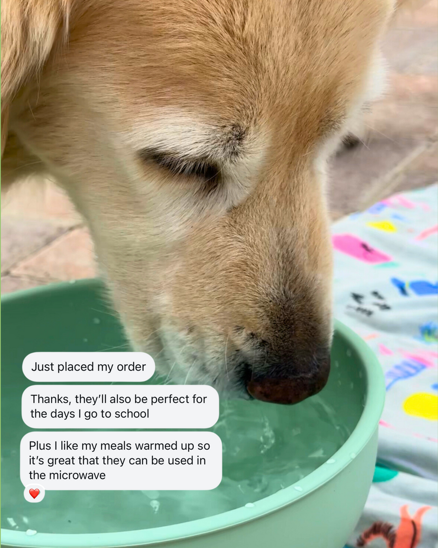 Stackable silicone dog bowls with airtight lids for snacks and water.