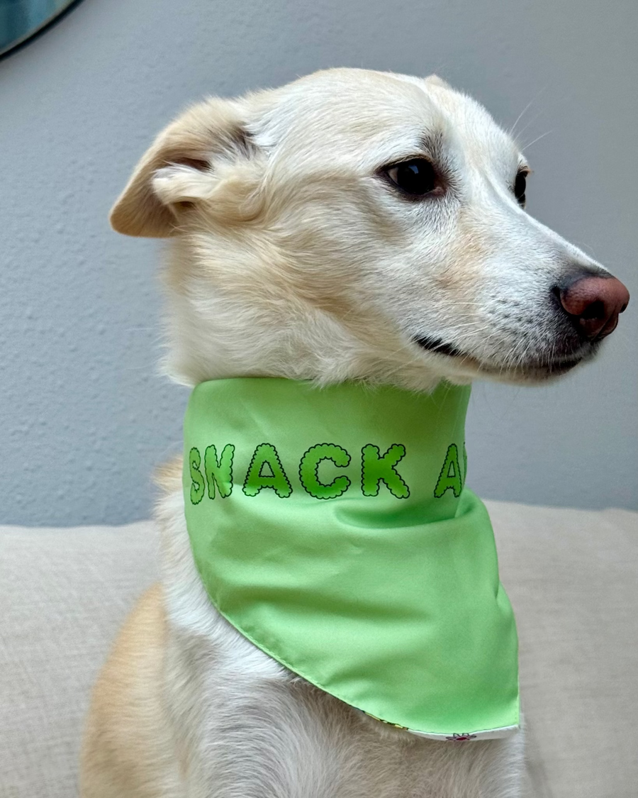 Reversible dog bandana with foodie design, doubles as napkin.