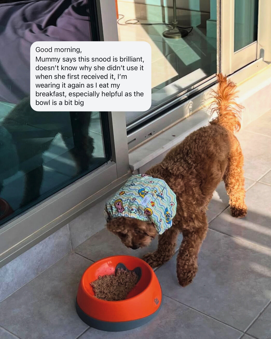 Stackable silicone dog bowls with airtight lids for snacks and water.