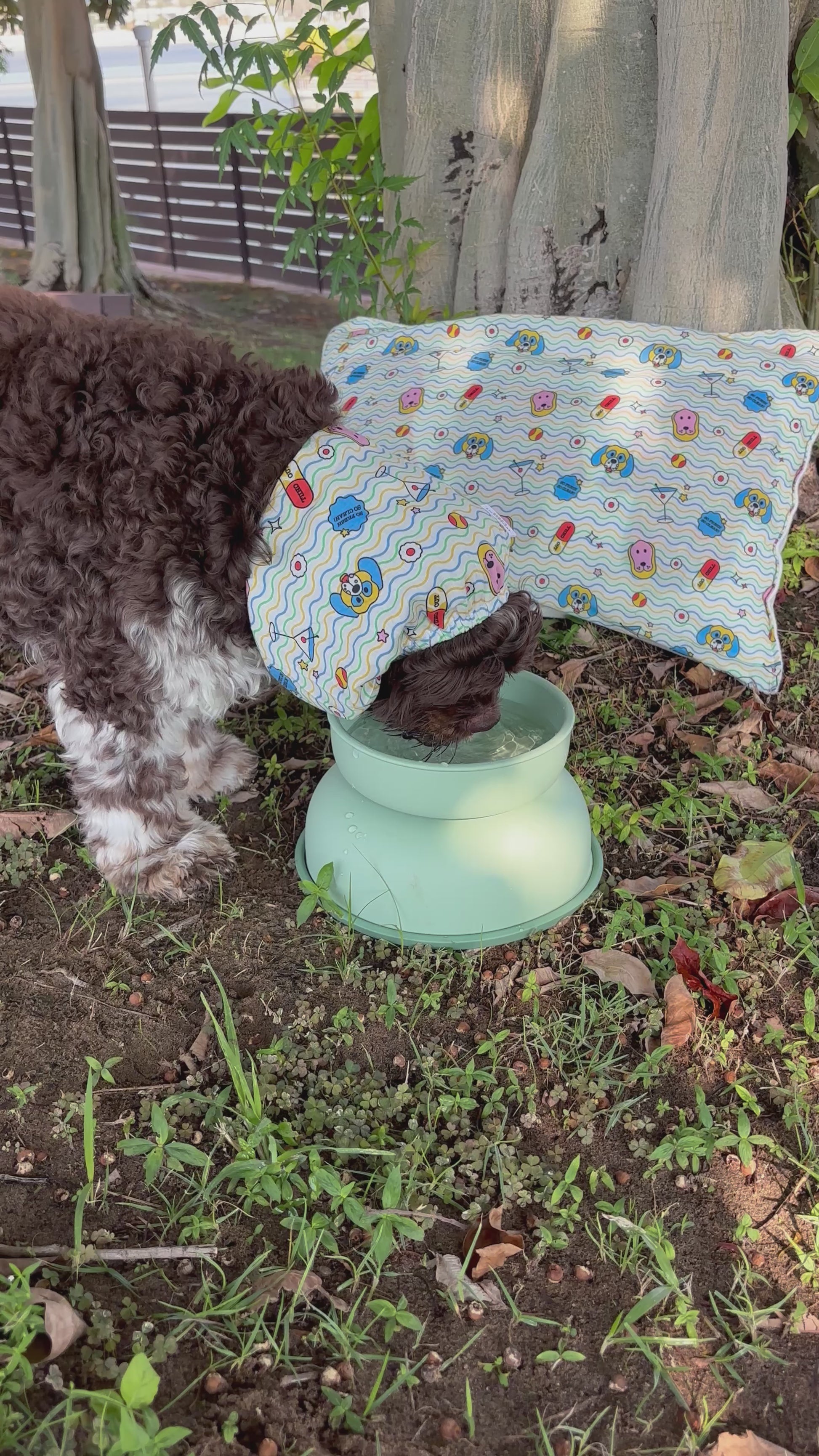 Rorys-Apawthecary-Dog-Bowl-Elevated-Container-Air-Tight-Water-Food-Bowl-04