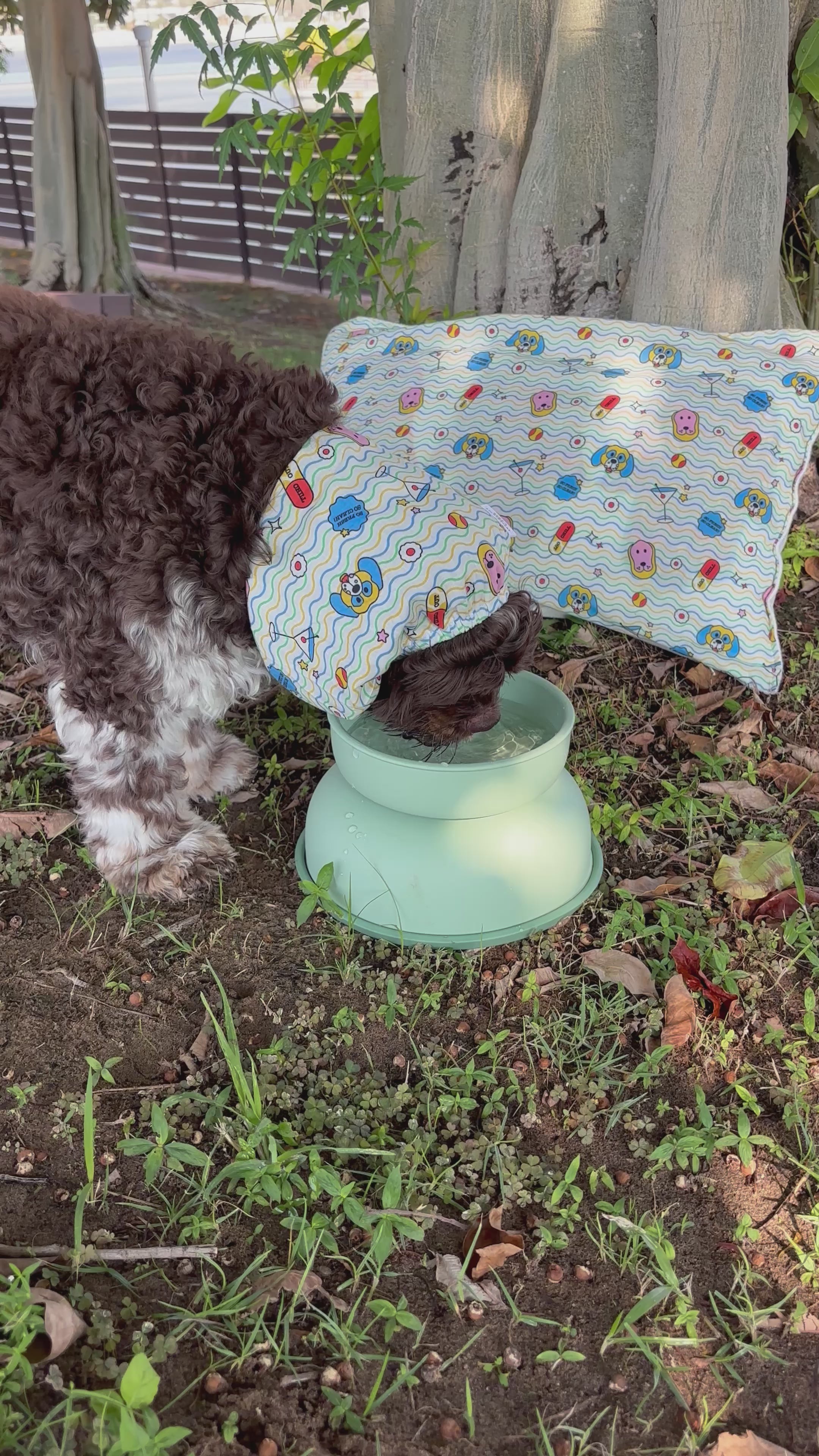 Rorys-Apawthecary-Dog-Bowl-Elevated-Container-Air-Tight-Water-Food-Bowl-04