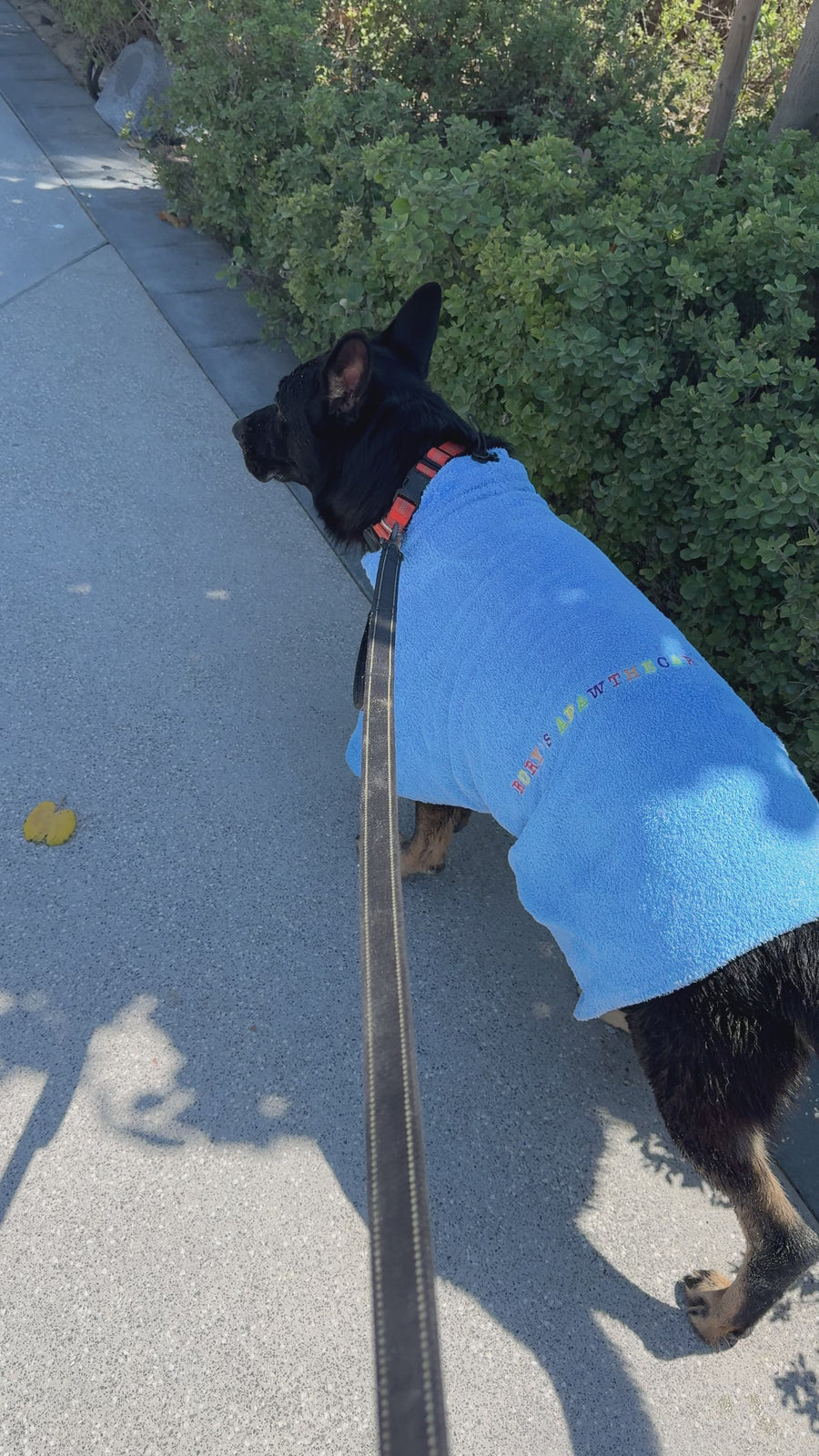 DOG TOWEL