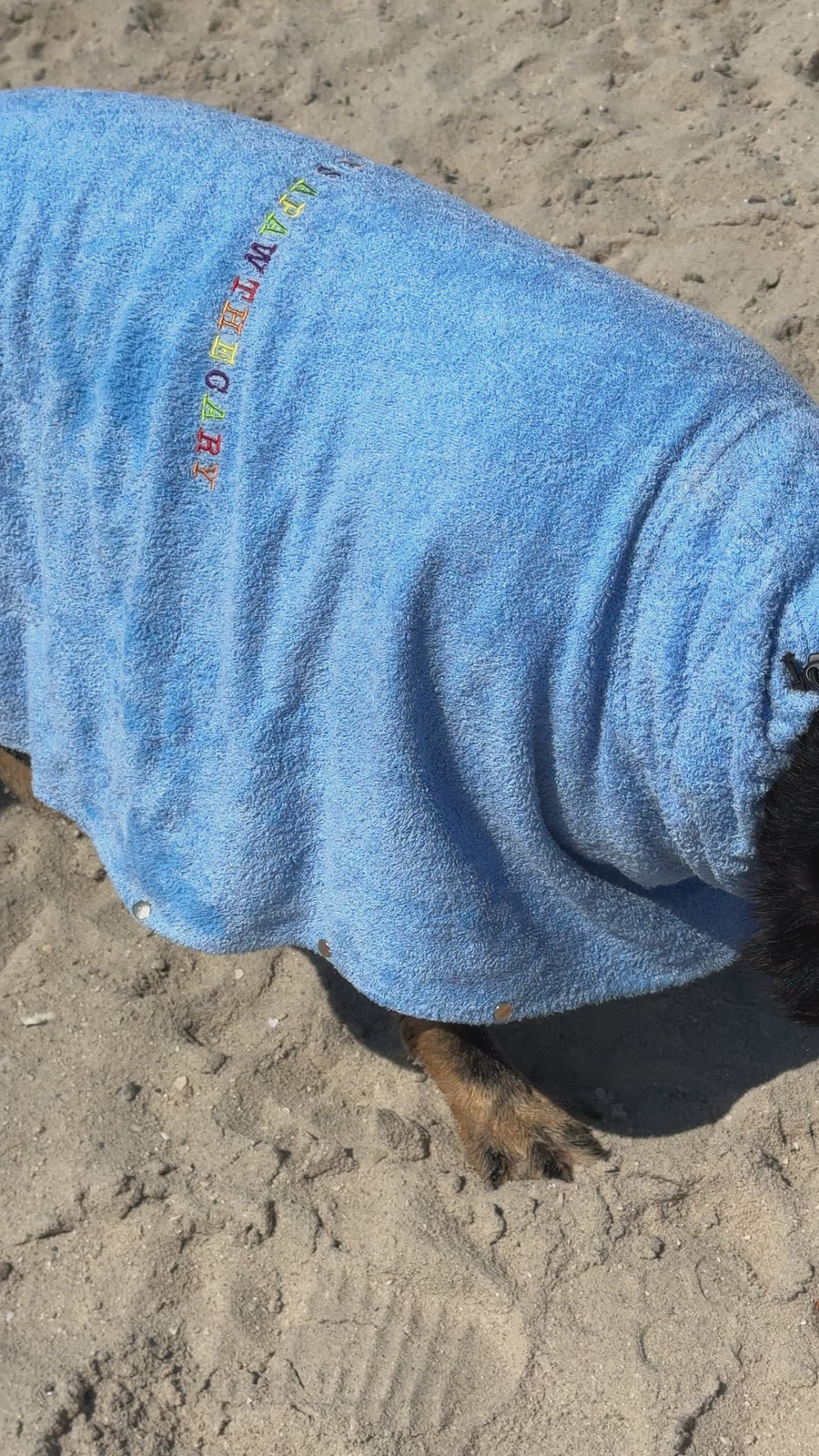 DOG TOWEL