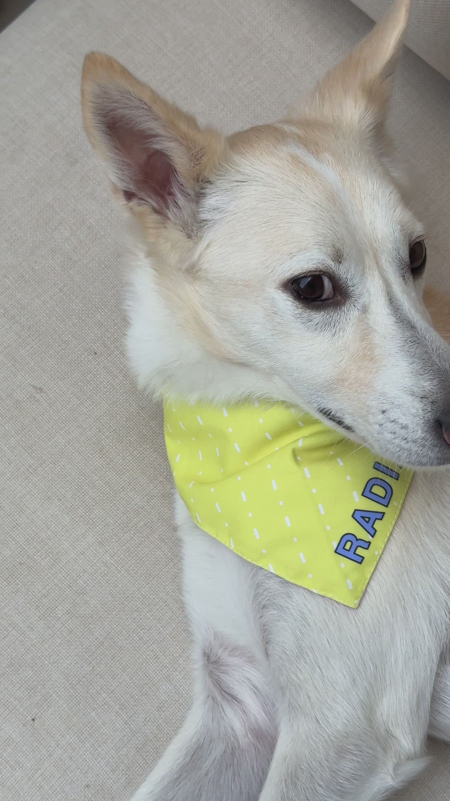 SUNBATHER BANDANA (Reversible)