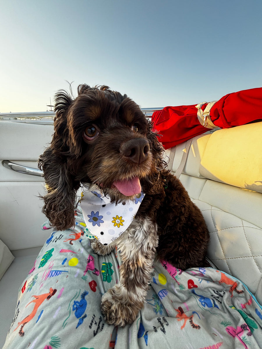 DOG WALKING BANDANA (Reversible)