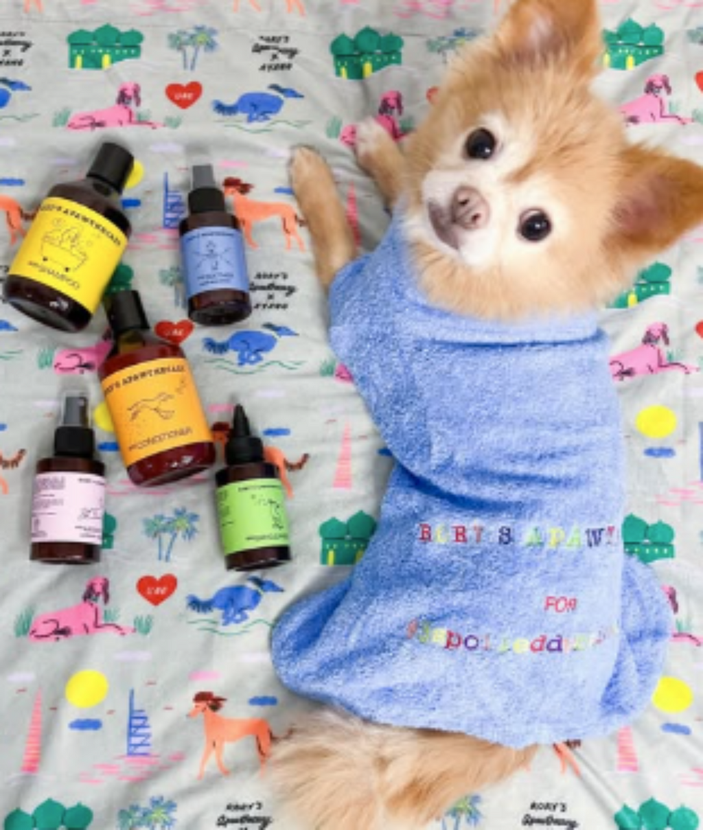 Dog wrapped in Rory's Apawthecary Dog Blanket and the full organic natural grooming range in UAE