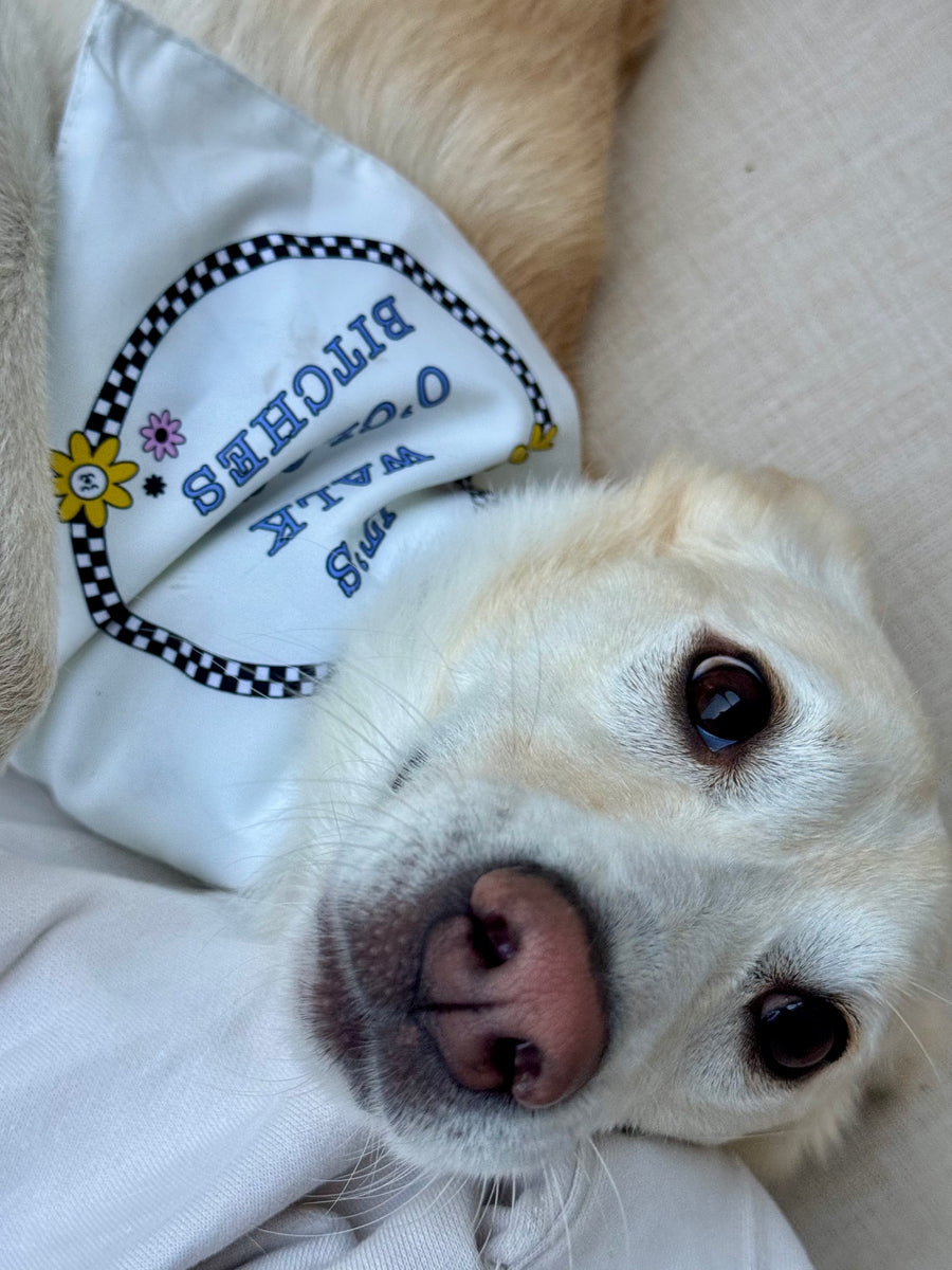 DOG WALKING BANDANA (Reversible)