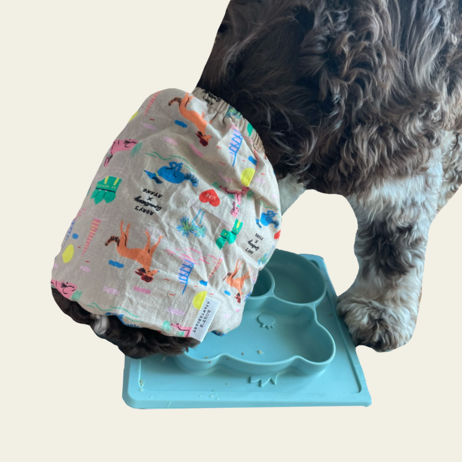 Stylish and functional dog snood from Rory’s Apawthecary, gentle on ears and designed for comfort. Easy-to-wear snood for mess-free mealtimes and cute everyday looks. Perfect for café outings or travel to protect ears and keep face clean during meals. UAE based.
