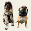 Stylish and functional dog snood from Rory’s Apawthecary, gentle on ears and designed for comfort. Easy-to-wear snood for mess-free mealtimes and cute everyday looks. Perfect for café outings or travel to protect ears and keep face clean during meals. UAE based.