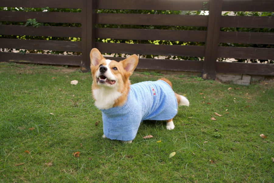 Rory’s Apawthecary dog towel — lightweight, quick-dry, and gentle on sensitive skin. ultra-soft dog towel fabric designed for comfort and absorbency. perfect for quick drying. Multipurpose for bath time, beach days, travel, outdoor adventures. and on-the-go grooming. UAE based. 
